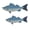 B, variant on 2Pack Ocean Beach Themed Wall Decor,3D Nautical Sailfish Decorations for Home Office Beach House,Rustic Coastal Ocean Theme Coastal Bedroom Living Room Fish Wall Art