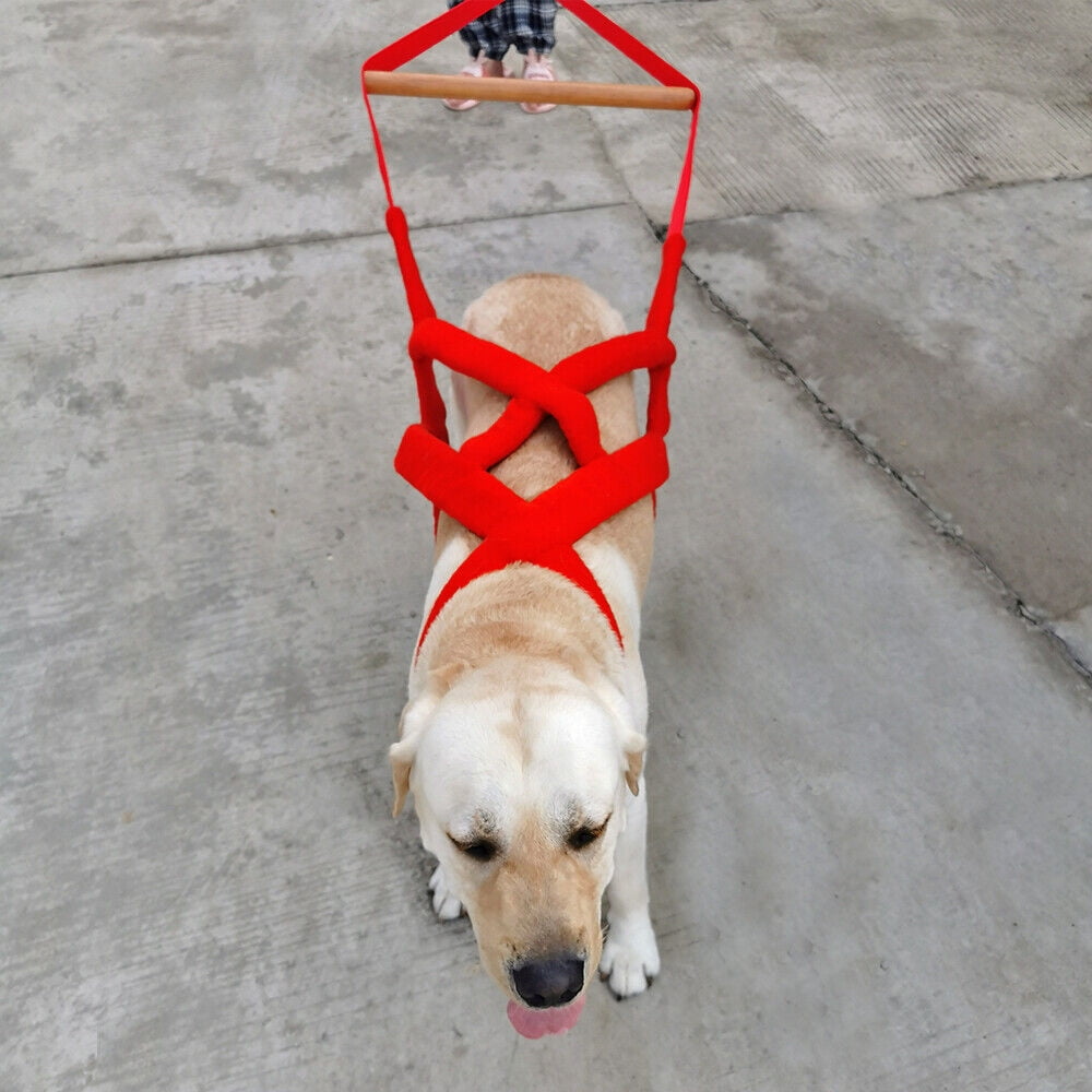 Didog Strong Dog Weight Pulling Harness Heavy Duty Padded Pet Sledding Training Vest