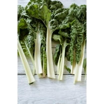 Fordhook Giant Swiss Chard Seeds