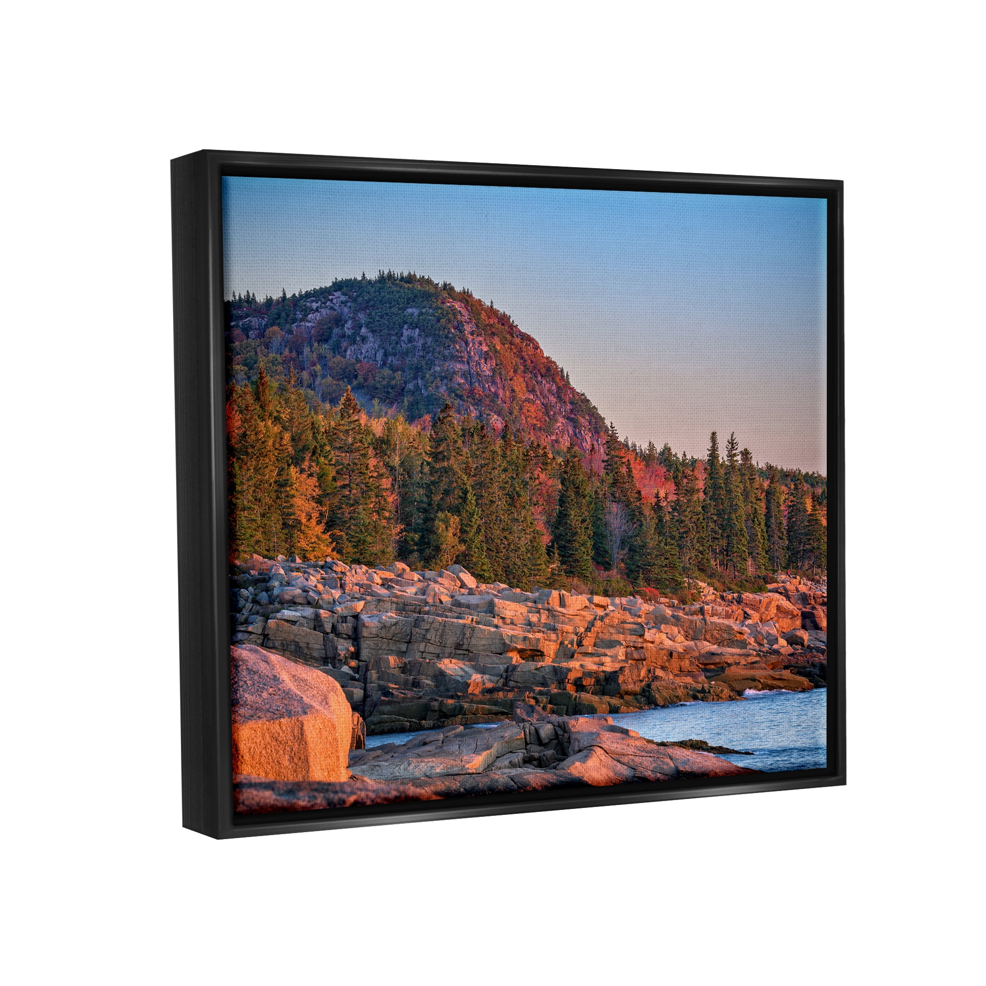 Stupell Rocky Seaside Mountain Cliff Landscape Photography Black Floater Framed Art Print Wall Art