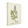 thumbnail image 2 of Unknown 'Antique Herb Botanical III' Canvas Art, 2 of 3