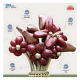 thumbnail image 3 of 50 Piezas Globo Payaso Esfera Vintage Velvet N°9, 3 of 7