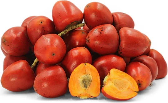 La Fe Conservas Chontaduro Peach Palm Fruit in Brine, Exotic Super Fruit,  28oz – 2 Pack