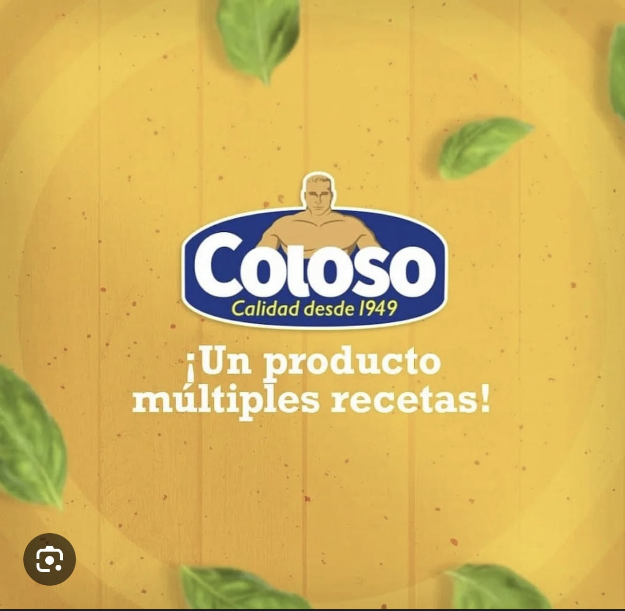 Coloso Canola Oil for Cooking 40oz Plastic Single Bottle