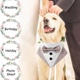 thumbnail image 5 of Formal Dog Tuxedo Wedding Dog Bandana Collar Dog Collar with Bow Tie Adjustable Dog Bowtie for Small Medium Large Pet-L, 5 of 5