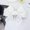 WHITE, variant on Women Big Bow Waistband Elastic Wide Waist Belt Fashion Solid Bowknot Waist Straps For Dress Decorate Clothes Accessories