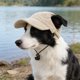 thumbnail image 1 of Dog Hat Corduroy Pet Cap Adjustable Baseball Hat For Small Dogs Cats Summer Sun Protection Pet Cute Puppy Accessory Breathable Cap L, 1 of 7