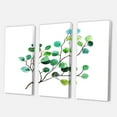 thumbnail image 3 of Designart ' Young Eucalyptus Branches and Leaves IV ' Traditional Canvas Wall Art Print, 3 of 3