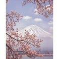 thumbnail image 3 of Samejima, Makiko 12x14 Black Modern Framed Museum Art Print Titled - Mt.Fuji In The Cherry Blossoms, 3 of 5