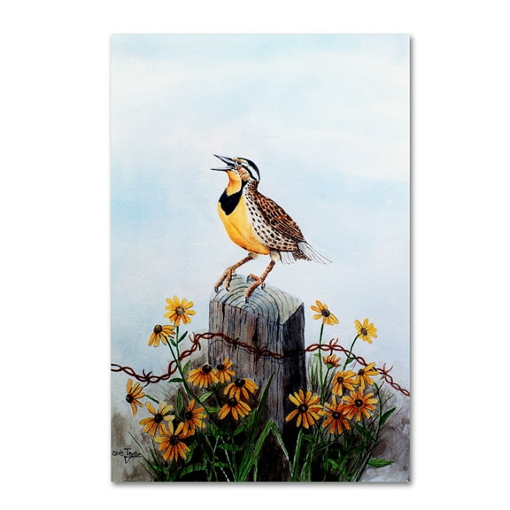 Trademark Fine Art 'Meadowlark 3' Canvas Art by Arie Reinhardt Taylor