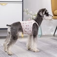 thumbnail image 5 of Cherry Print Puppy Vest - Breathable Fashion Outfit - Dog Camisole - Ideal Summer Pet T-shirt for Vacation, 5 of 8