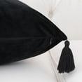 thumbnail image 4 of 2 Pcs Velvet Throw Pillow Cover with Tassel, Square Throw Pillow Case Cushion Cover, 4 of 8