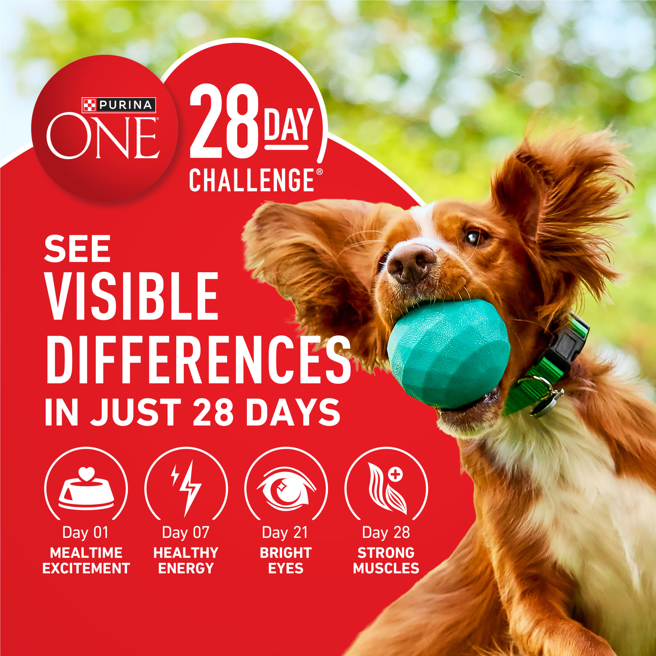 Purina ONE Plus Joint Health Dry Dog Food photo 8