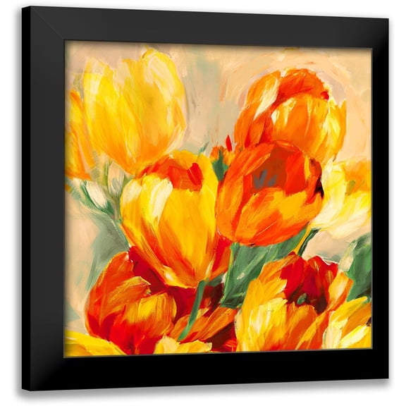 Stone, Jim 12x12 Black Modern Framed Museum Art Print Titled - Tulips in the Sun I