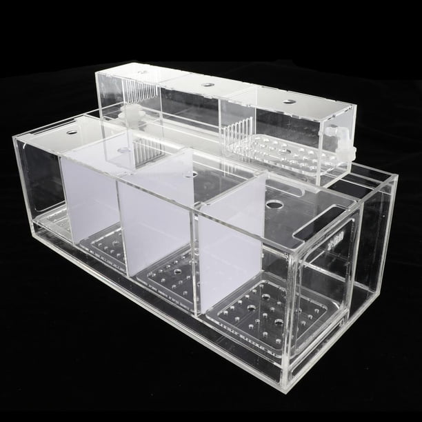 Acuario pecera caja de cría caja de incubación de aislamiento - Claro, 4 cuadrícula Colco Tanque de aislamiento de acuario