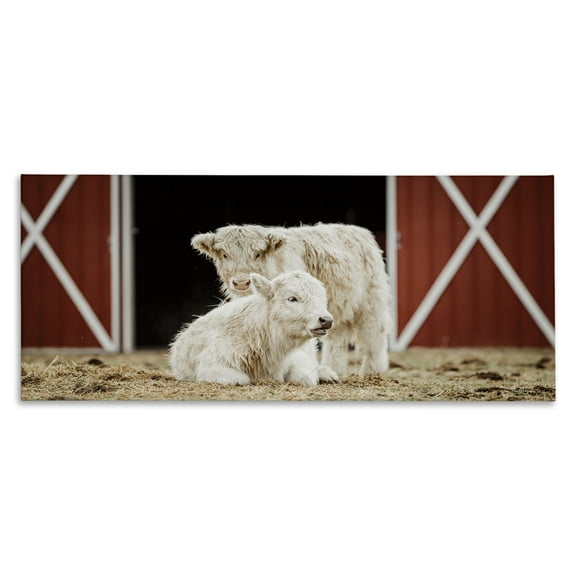 Stupell Industries White Cattle Barn Animals & Insects Photography Gallery Wrapped Canvas Art Print Wall Art, 24 x 10
