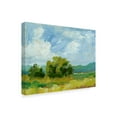 thumbnail image 2 of Trademark Fine Art 'Field Color Study I' Canvas Art by Ethan Harper, 2 of 4