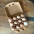 thumbnail image 6 of Ruralty Recycled Cardboard Egg Cartons 200ct Dozen 4x3 Vintage Bulk Egg Cartons, 6 of 7