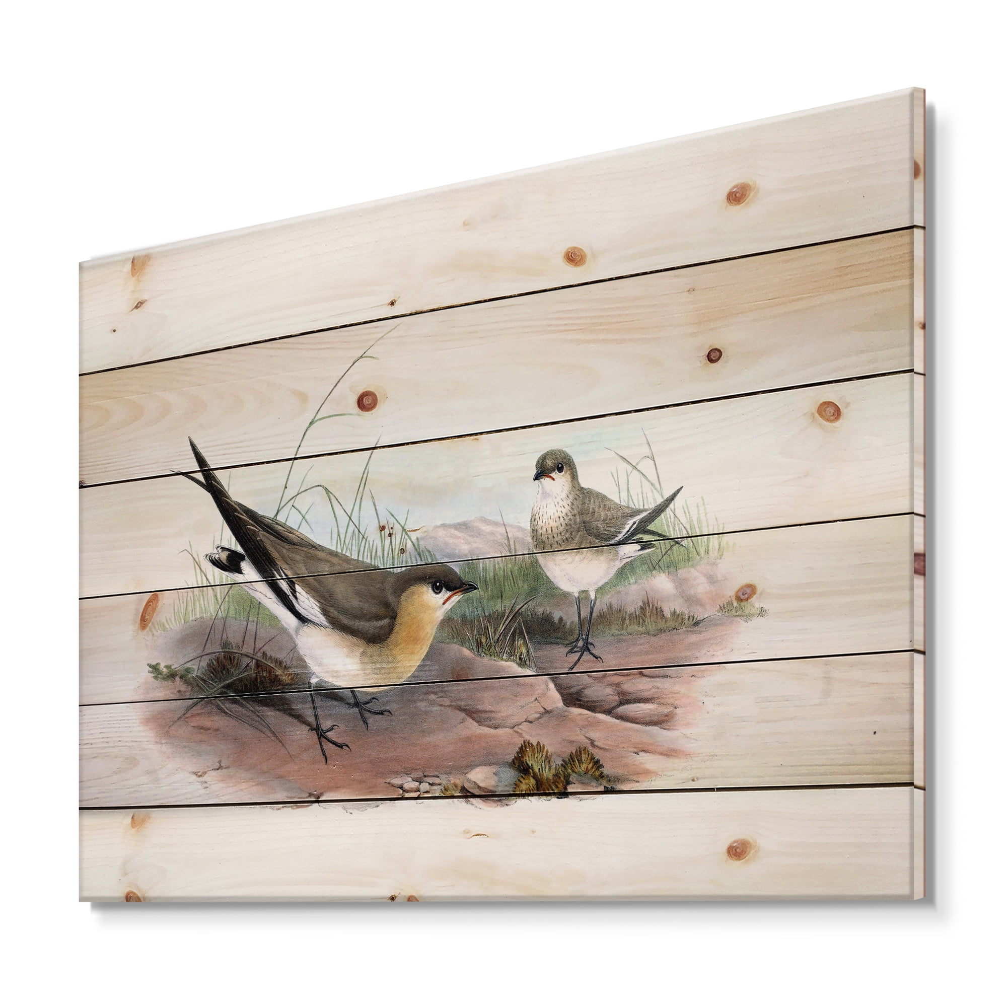 Designart 'Ancient Bird Illustration II' Farmhouse Print on Natural Pine Wood