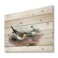 thumbnail image 2 of Designart 'Ancient Bird Illustration II' Farmhouse Print on Natural Pine Wood, 2 of 5