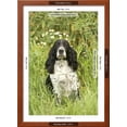 thumbnail image 3 of English Springer Spaniel, Animals World Culture Framed Art Print Wall Art Sold by ArtCom, 3 of 6