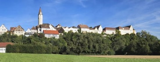 Buildings In A Town
