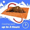 thumbnail image 4 of Reversible Cooling Pet Mat, Medium, 24" x 30", Navy and Teal, 4 of 5