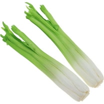 2pcs Fake Celery Artificial Vegetables Green Lifelike Celery Stick Kitchen Decoration for Home Shop Garden Decor Market Cabinet Thanksgiving Display