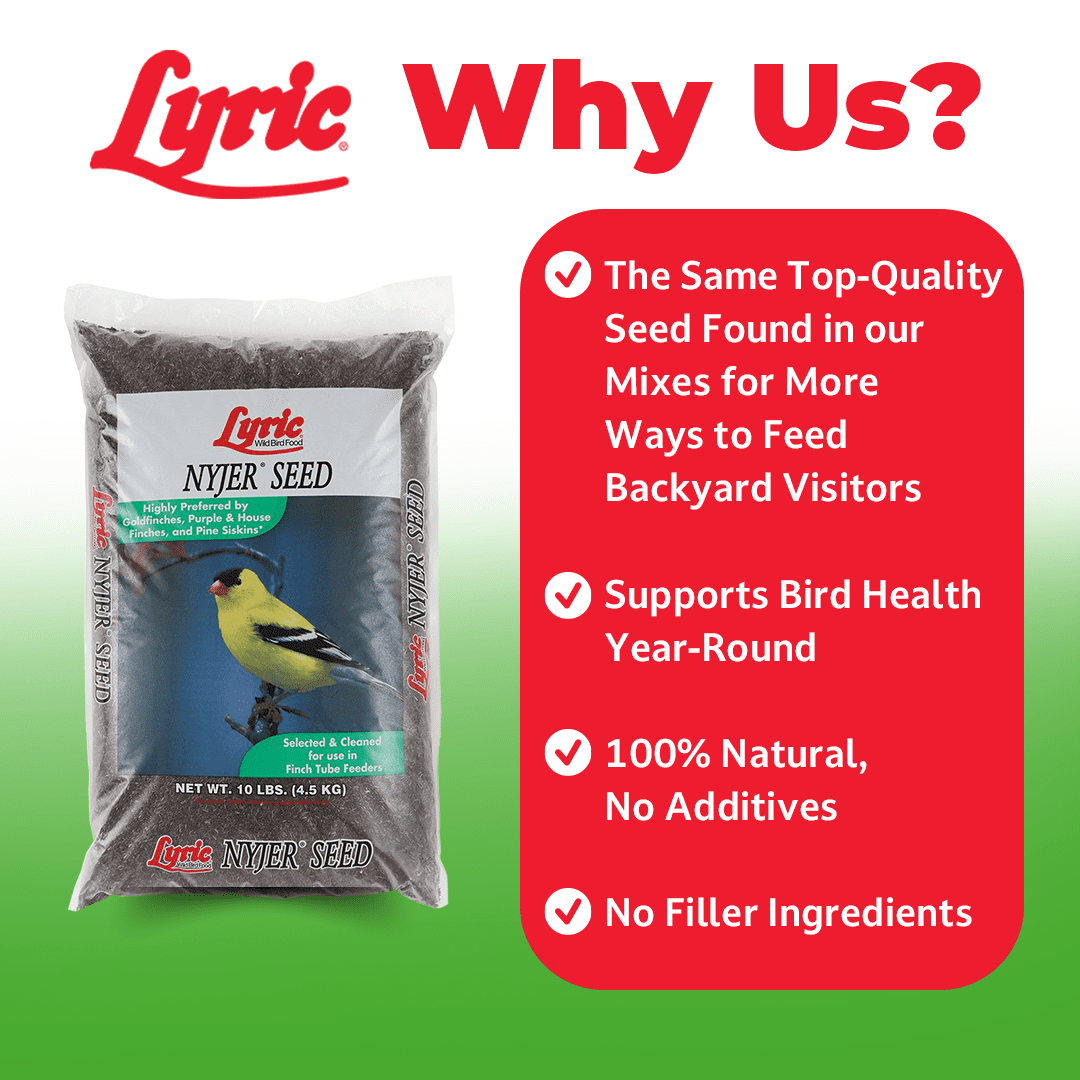 Lyric Nyjer Wild Bird Seed - Finch Food - 10 lb. Bag