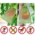 thumbnail image 3 of 50PC Fruit Grape Protection Bags With Drawstring Fruit Netting Bags for Grapes Mango Veggies Reusable Pest Barrier Plant Bags, 3 of 9