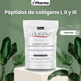 thumbnail image 3 of Polvo con Péptidos de Colágeno l ll lll y Ácido Hialurónico Colágeno, 3 of 3