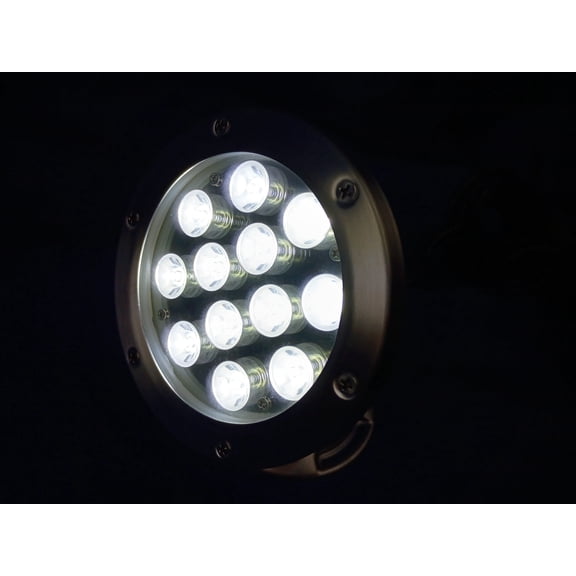 OceanMist QL26-1W-1W Cool White Underwater Pond Light