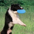 thumbnail image 2 of Dog Frisbee Toy, Interactive Dog Toys Lightweight Floating Frisbee Soft,Bite-Resistant Rubber Frisbee Game Chew Toy for Dog Flying Disc Training Tools for Outdoor, 2 of 4