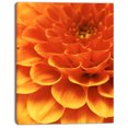 thumbnail image 2 of Pétales de Fleurs Jaunes Abstraits Foncés - Impression sur Toile Florale, 2 of 3