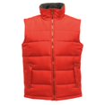 thumbnail image 2 of Regatta Mens Standout Altoona Insulated Bodywarmer Jacket, 2 of 3