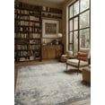 thumbnail image 4 of Rug Branch Havana Collection Traditional Distressed Area Rug., 4 of 15