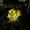 Yellow, variant on Solar garden lights outdoor waterproof decorative flowers, 7-flower ground pull-out lights LED outdoor courtyard garden grass decoration, festival decoration a gift for mom