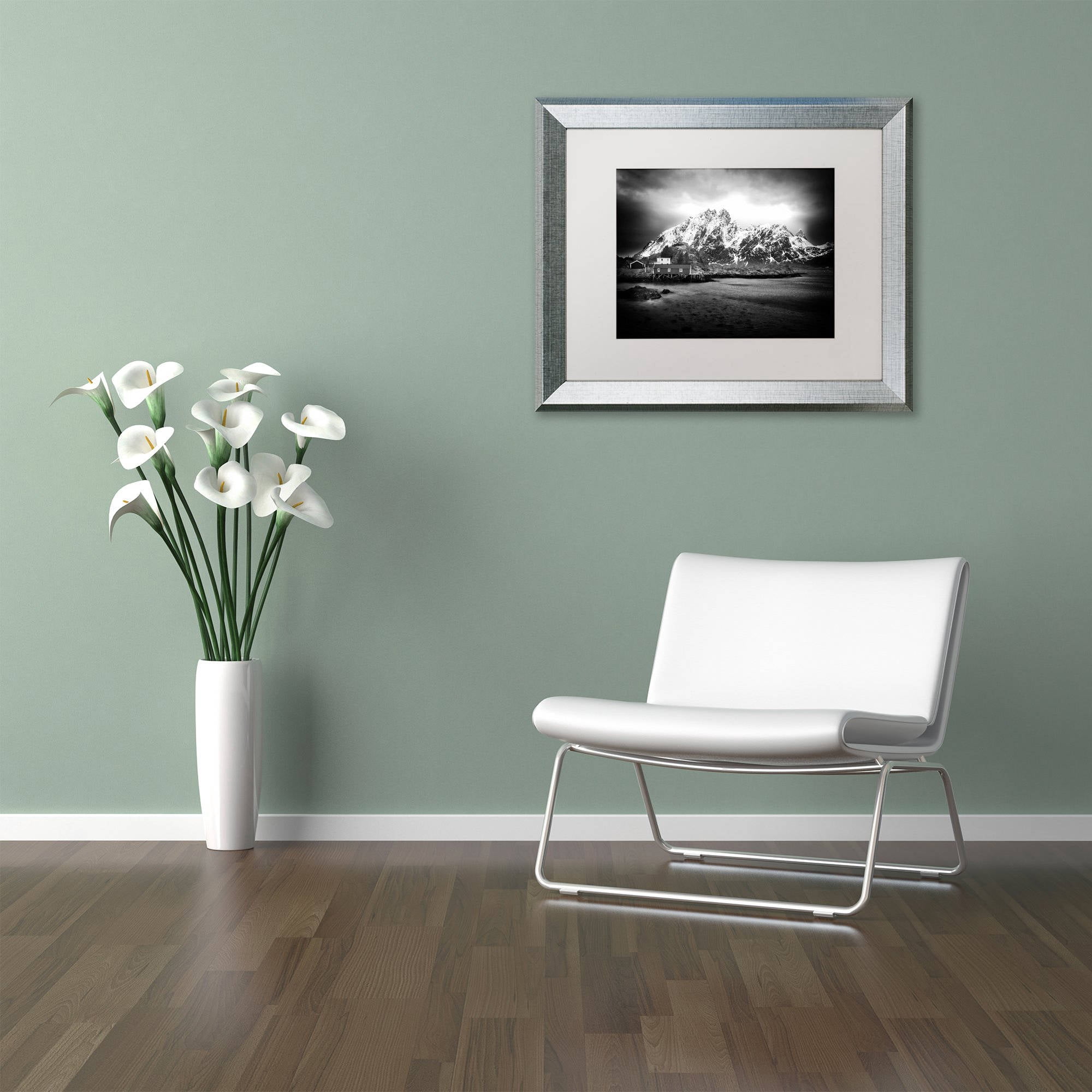 Trademark Fine Art "Fool Sometimes" Canvas Art by Philippe Sainte-Laudy, White Matte, Silver Frame