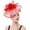 Red, variant on beishanbush Heardband Hats for Women Fascinators Womens Flower Hat for Tea Party Ball Wedding Double Use of Hair Clips and Hoops Black