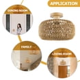 thumbnail image 2 of MIANGASTORE Ceiling Light Living Room Light Flush Mount Ceiling Lamp Bedroom Light Fixture, 2 of 6