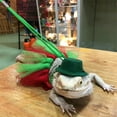 thumbnail image 4 of Pet Bearded Dragon Cosplay Tutu Skirt+ Hat +Harness Christmas Costume Christmas Dress Up Pet Christmas Holiday, 4 of 7