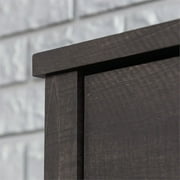 Sauder Two-Door Storage Cabinet, Blade Walnut Finish