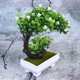 thumbnail image 3 of unbranded 2Ud Bonsai Artificial Verde Decorativo Ideal Para Hogar Y Oficina Con Material Resistente Y Fácil Limpieza, 3 of 5