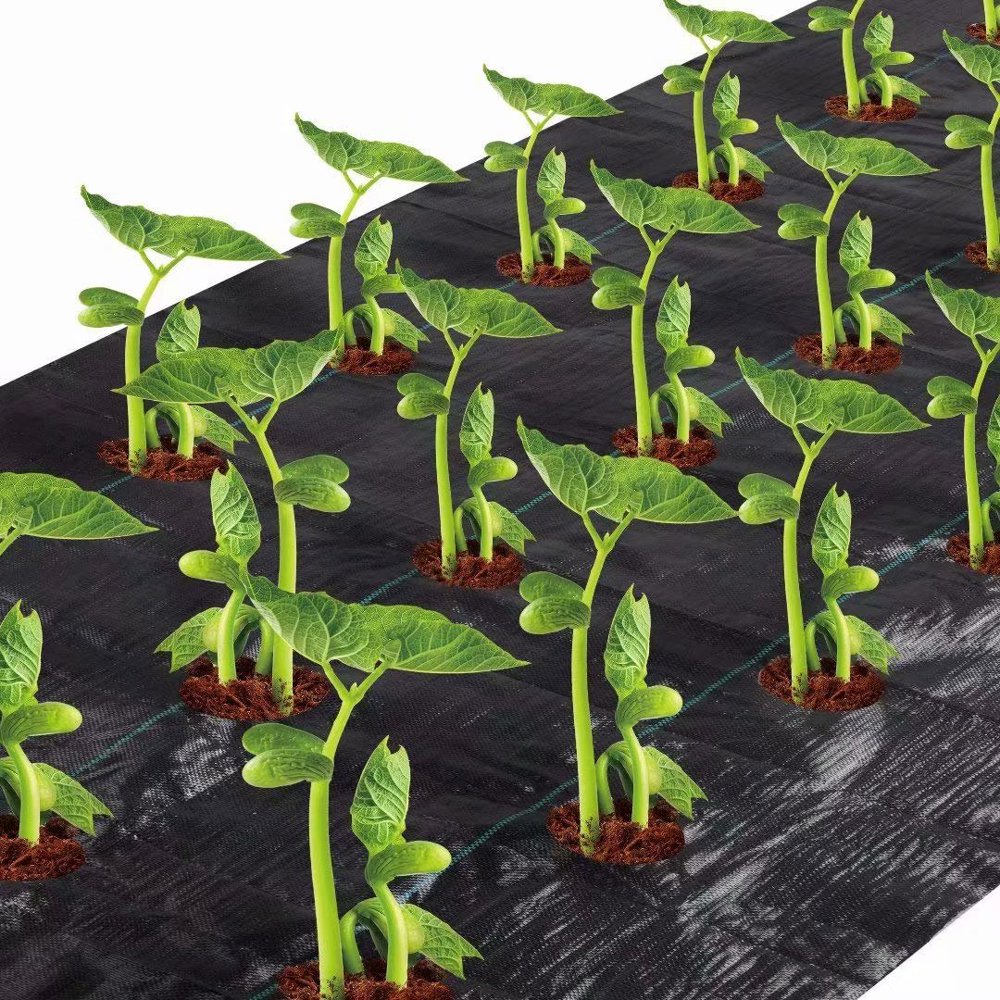 Agfabric EasyPlant Weed Block for Raised Bed Outdoor Garden Weed Rugs