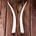 thumbnail image 1 of Cuernos De Antílope De 36 Cm Para Accesorios De Diadema De cabellero Gótico De Bricolaje Macarena Coleccionables decorativos, 1 of 8