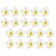 thumbnail image 3 of BRIGHTFUFU 20 horquillas para el pelo con flores de Plumeria, pinzas para el pelo con flores delicadas, pasador para mujeres y niñas, 3 of 8