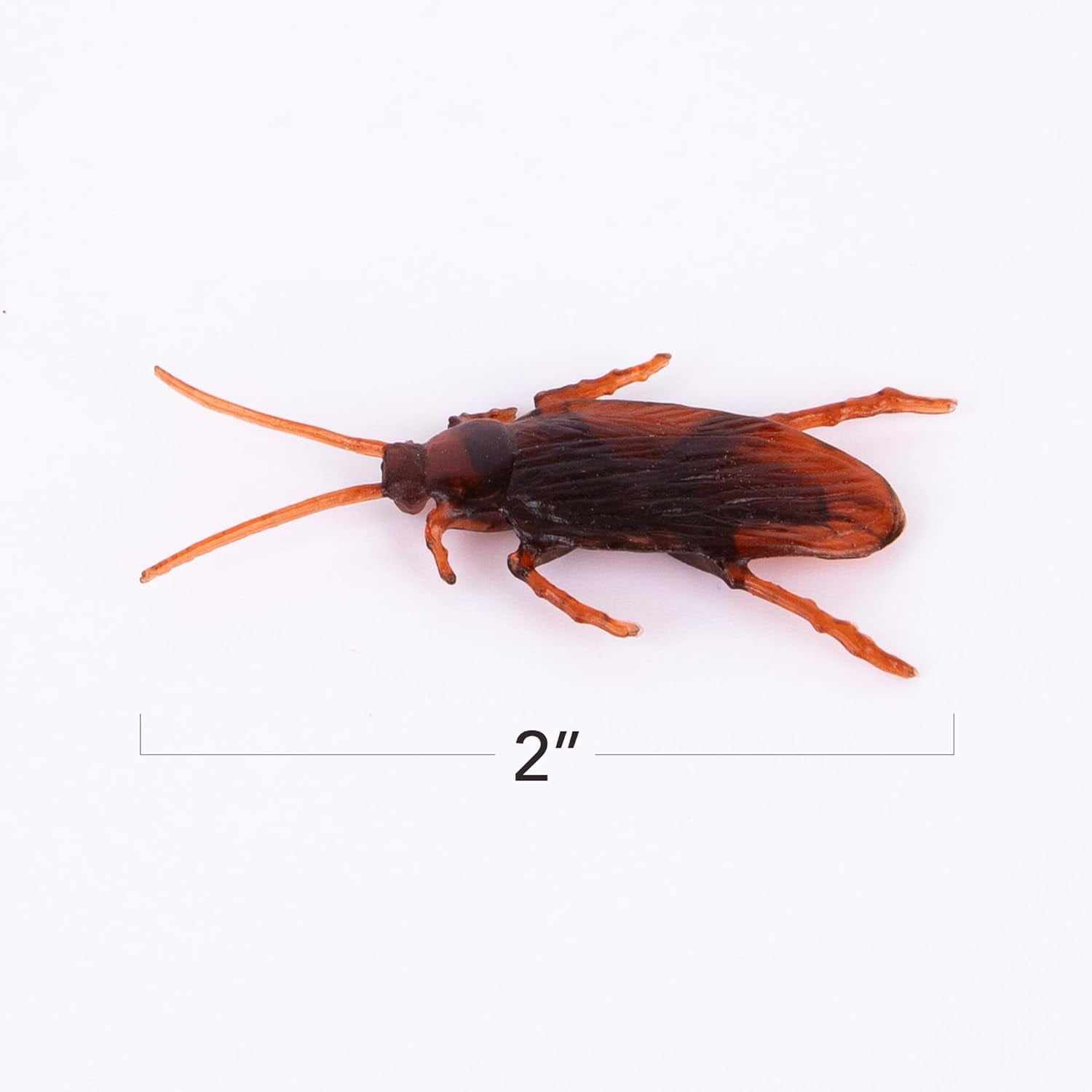 Plastic toy roaches sale