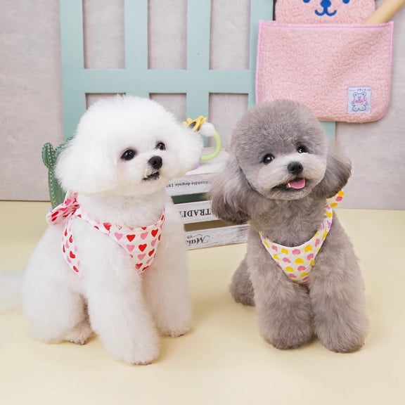 Adorable Pet Clothes for Cats & Small Dogs - Charming Spring & Autumn Wear Chest and Back Traction