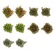 thumbnail image 2 of 10 piezas de mechones de hierba, modelo de hierba, mechones de hierba artificiales, para tren Color mezclado, 2 of 9