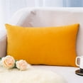 GZHCGSM Spring Pillow Covers Super Soft Rectangular Velvet Pillowcase